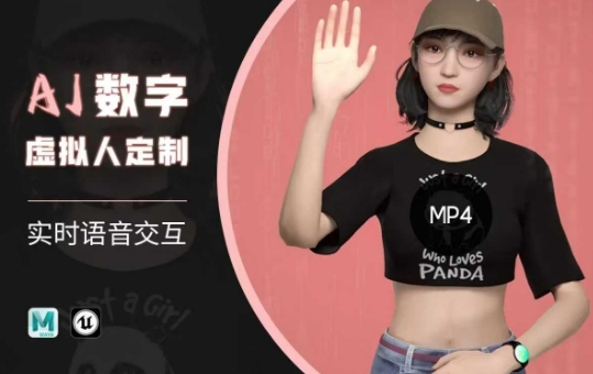 Ai数字人虚拟(智能体)实时语音交互特训营，​自行定制超写实角色AI数字人交互技术-云壹网创