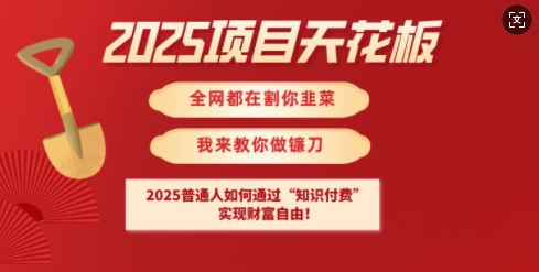 2025项目天花板普通人如何通过知识付费，实现财F自由【揭秘】-云壹网创