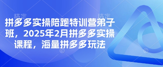 拼多多实操陪跑特训营弟子班，2025年2月拼多多实操课程，海量拼多多玩法-云壹网创