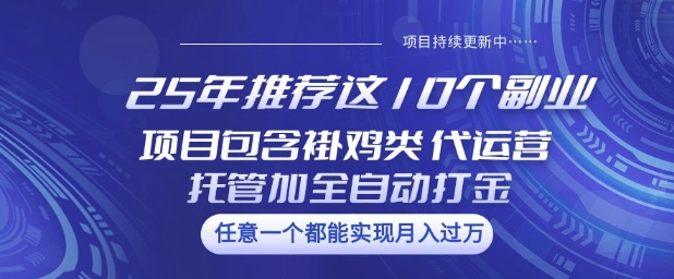 25年推荐这10个副业项目包含褂鸡类、代运营托管类、全自动打金类【揭秘】-云壹网创