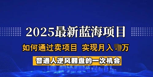 2025蓝海项目,普通人如何通过卖项目,实现月入过W,全过程【揭秘】-云壹网创
