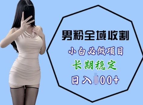 男粉项目全域收割，小白必做项目，长期稳定，稳定日入几张男粉项目全域收割，-云壹网创
